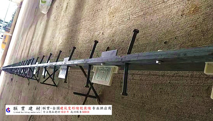 文山市铠甲缝施工案例