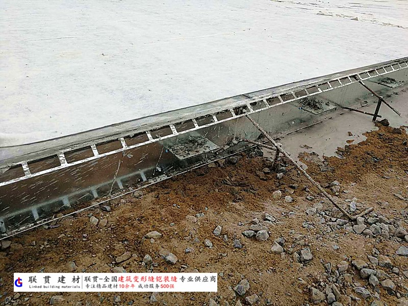 文山市铠装缝案例